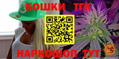 стафф Гатчина