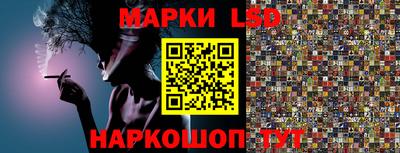стафф Гатчина