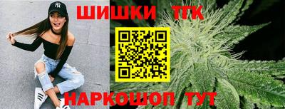 стафф Гатчина