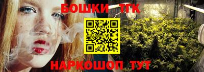 стафф Гатчина