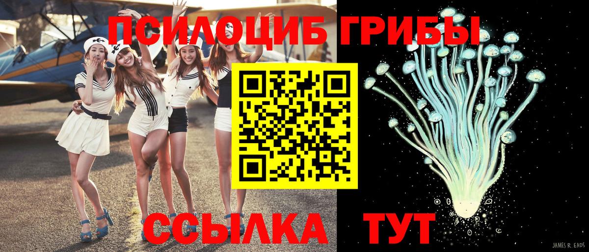 Всеволожск  Псилоцибиновые грибы мухоморы  Вход с VPN 