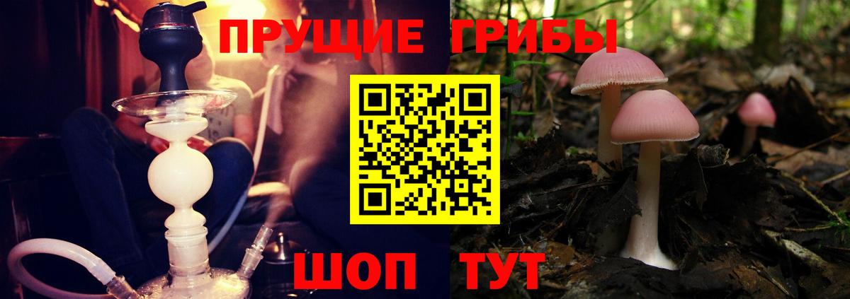 Галлюциногенные грибы Magic Shrooms Всеволожск